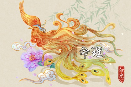 黄历万年历_万年历日历黄历_万年历黄历查询